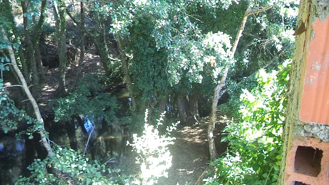 Moradia T3 para Venda em Santa Maria de Marvão Foto 15