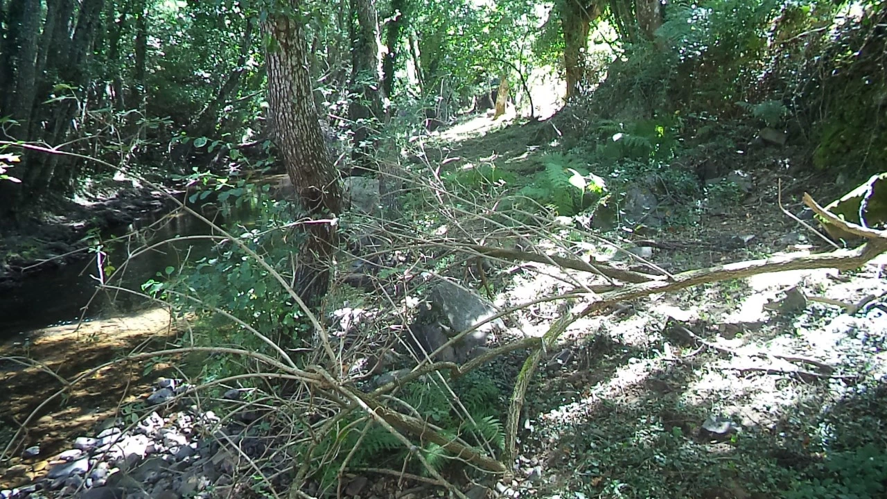 Moradia T3 para Venda em Santa Maria de Marvão Foto 28