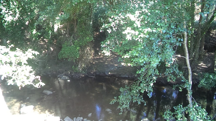 Moradia T3 para Venda em Santa Maria de Marvão Foto 14