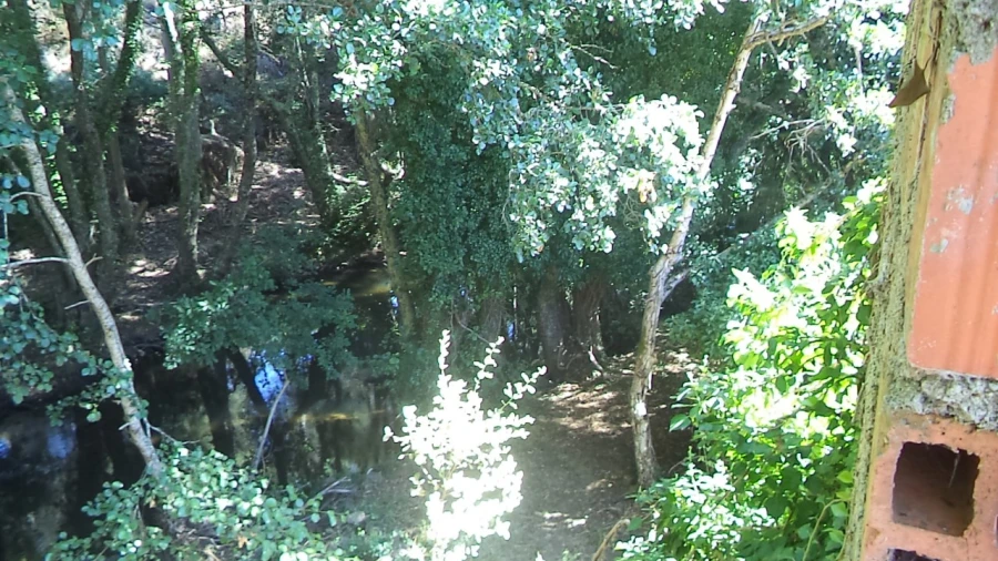 Moradia T3 para Venda em Santa Maria de Marvão Foto 15