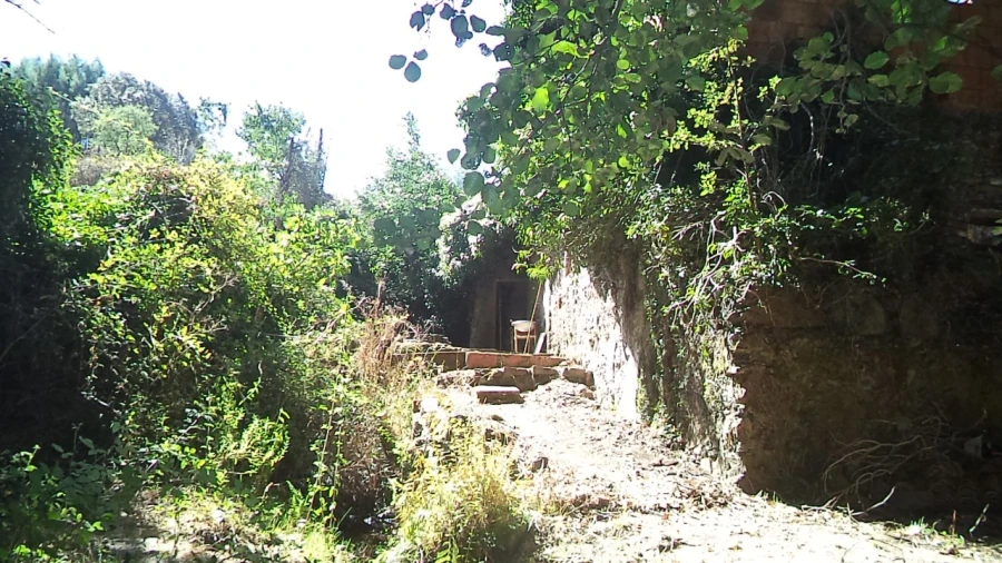 Moradia T3 para Venda em Santa Maria de Marvão Foto 23