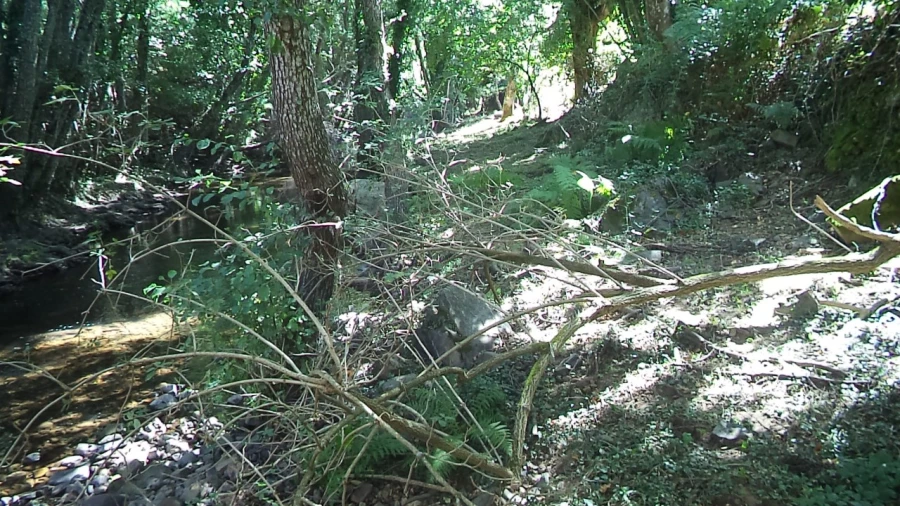 Moradia T3 para Venda em Santa Maria de Marvão Foto 28