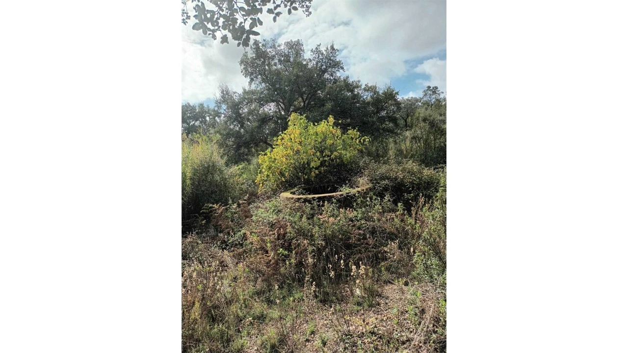 Moradia T2 para Venda em Esperança Foto 32