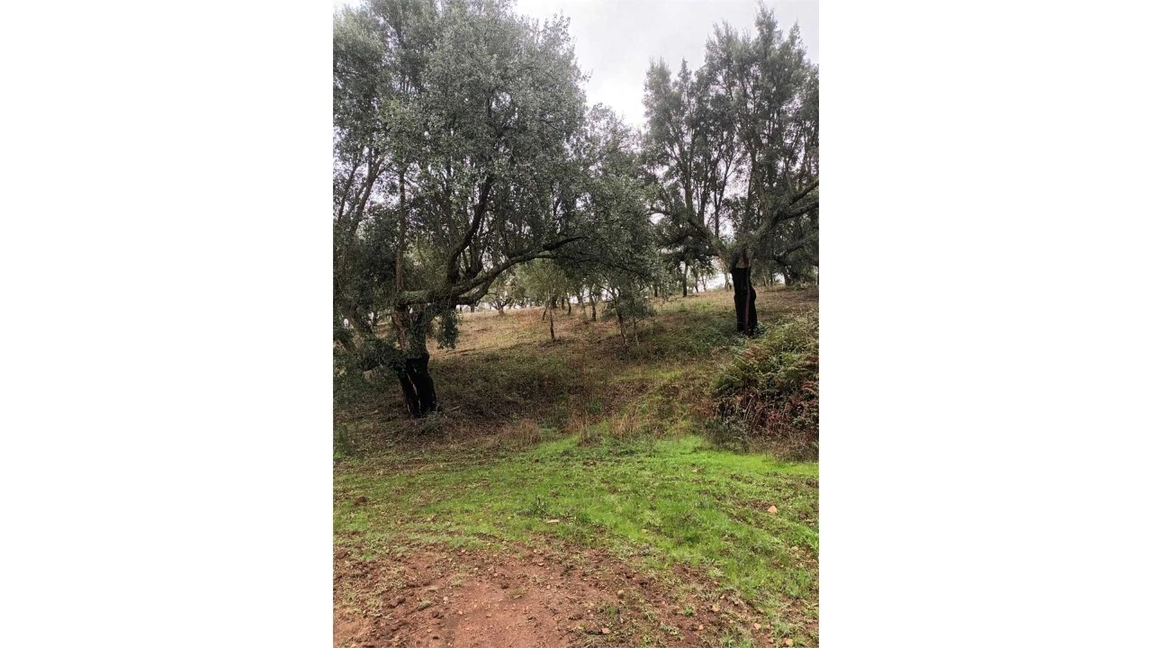 Moradia T2 para Venda em Esperança Foto 35