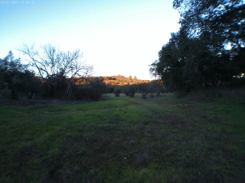 Moradia T2 para Venda em Esperança Foto 6