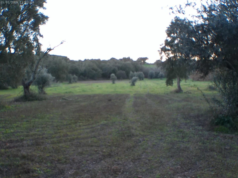 Moradia T2 para Venda em Esperança Foto 36