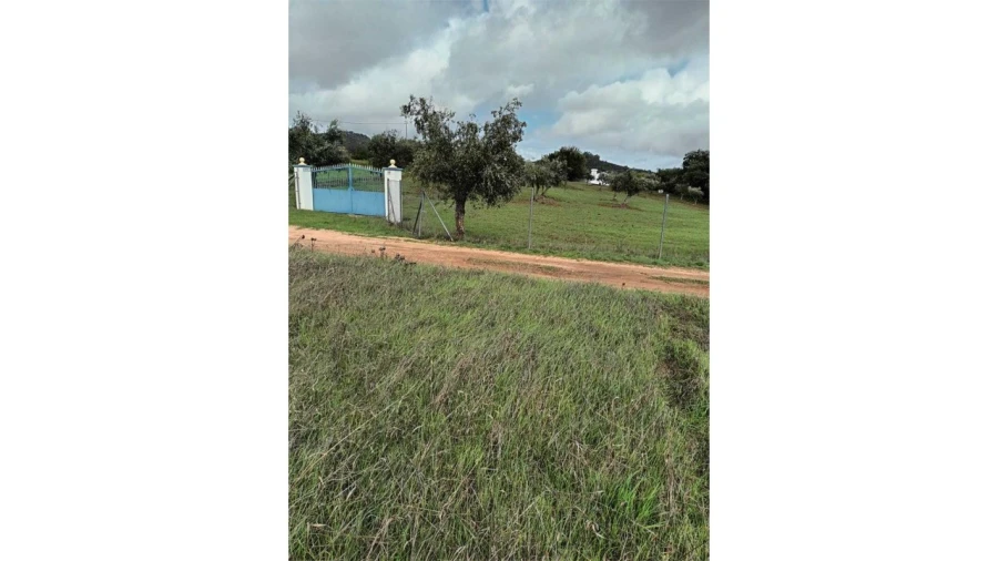 Moradia T2 para Venda em Esperança Foto 28