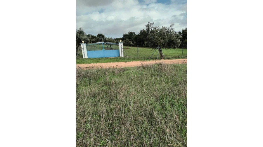 Moradia T2 para Venda em Esperança Foto 29