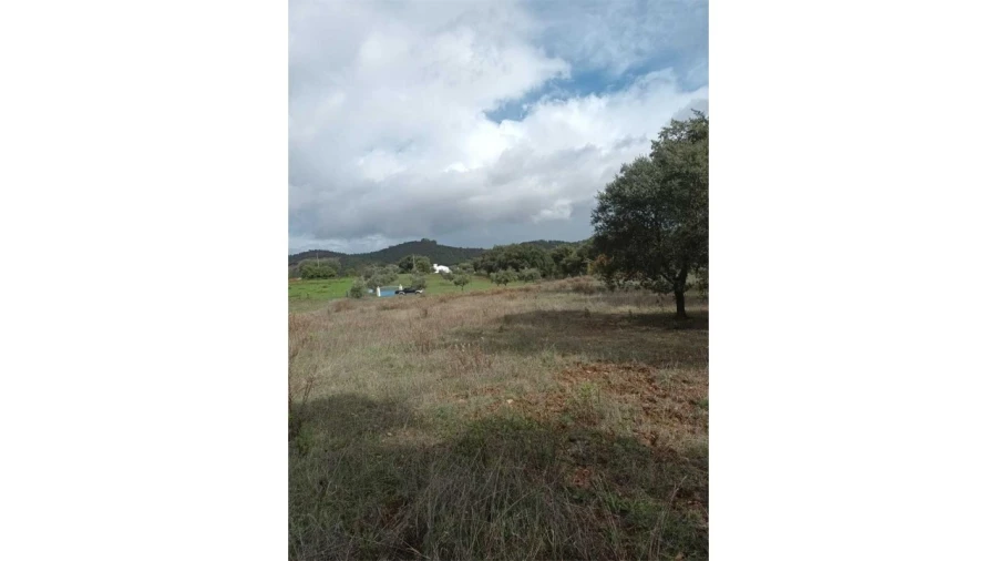 Moradia T2 para Venda em Esperança Foto 30