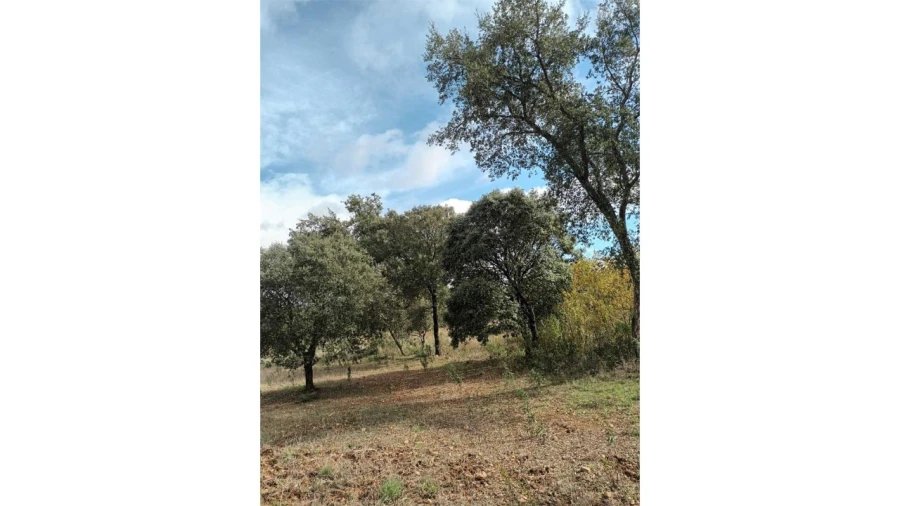 Moradia T2 para Venda em Esperança Foto 31