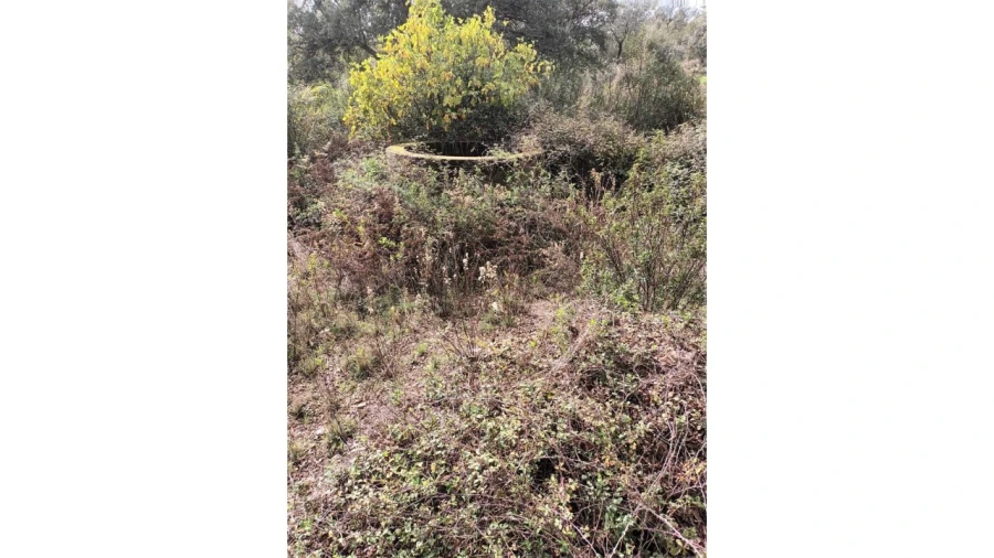 Moradia T2 para Venda em Esperança Foto 33