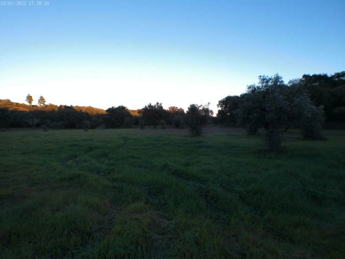 Moradia T2 para Venda em Esperança Foto 5