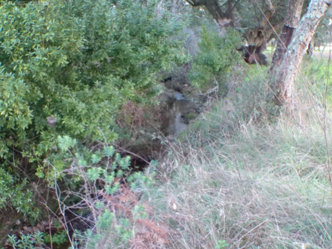 Moradia T2 para Venda em Esperança Foto 20