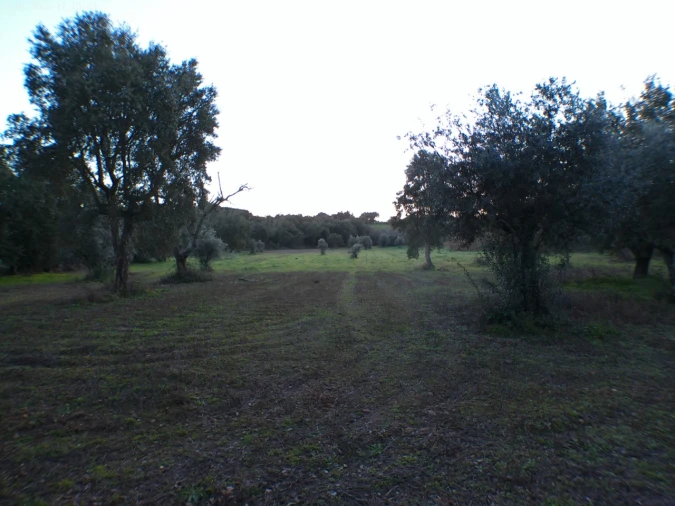 Moradia T2 para Venda em Esperança Foto 37