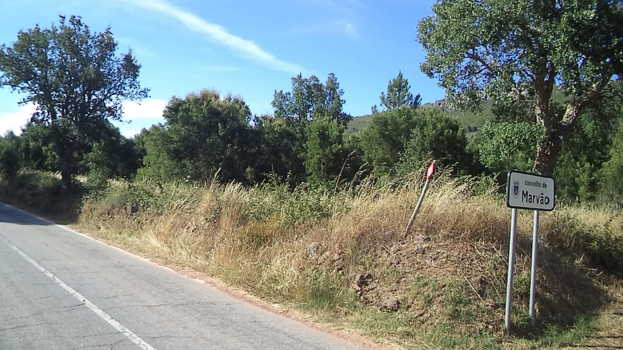 Terreno para Venda em São Salvador da Aramenha Foto 17
