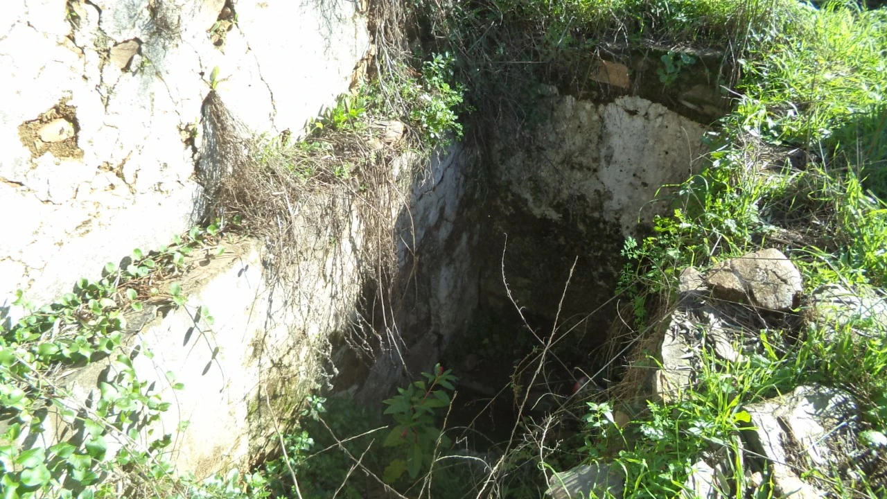 Quinta T4 para Venda em Alegrete Foto 7