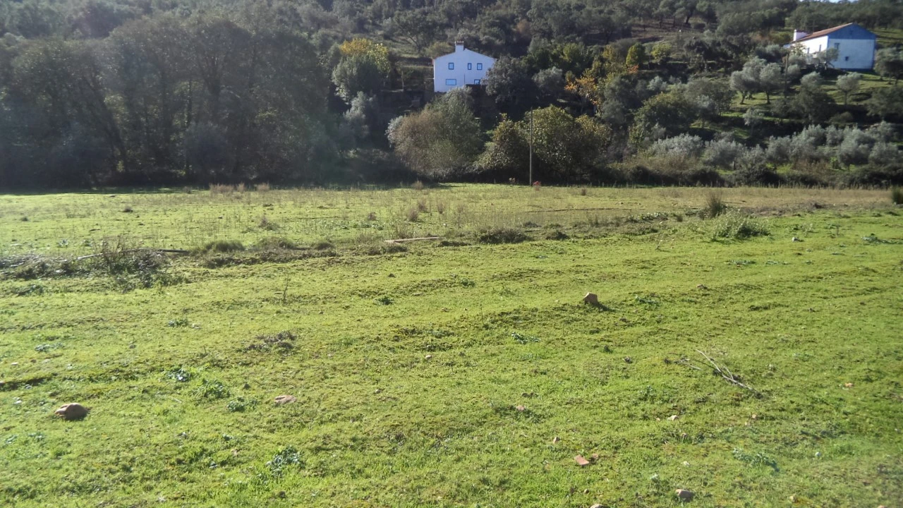 Quinta T4 para Venda em Alegrete Foto 12