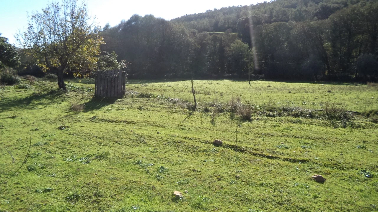 Quinta T4 para Venda em Alegrete Foto 13