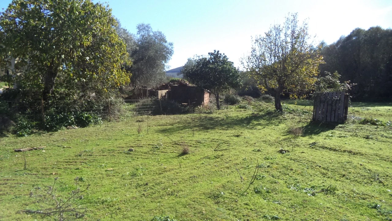 Quinta T4 para Venda em Alegrete Foto 14