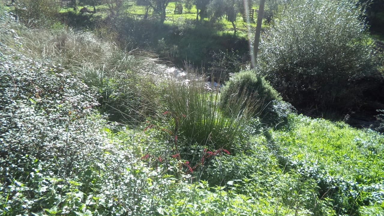 Quinta T4 para Venda em Alegrete Foto 43