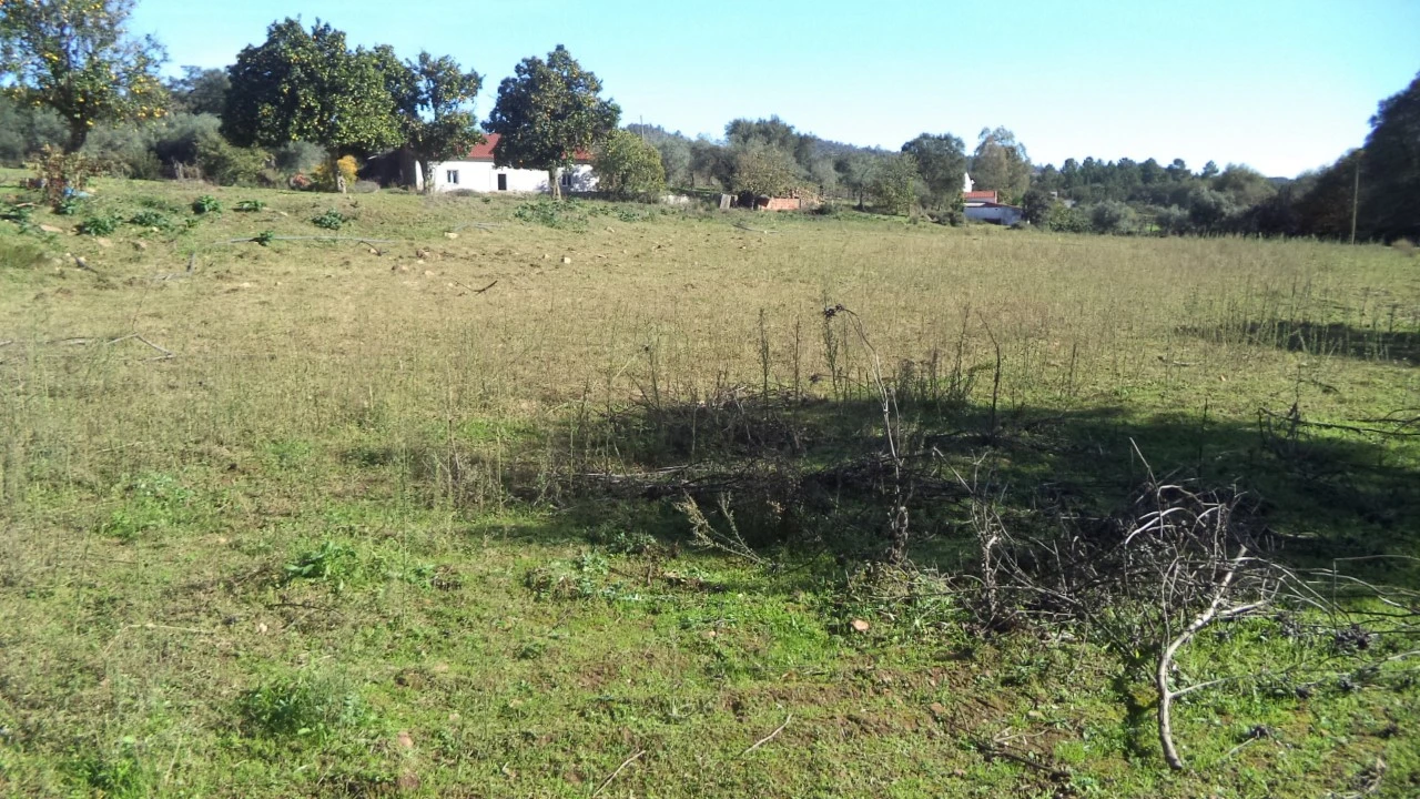 Quinta T4 para Venda em Alegrete Foto 44