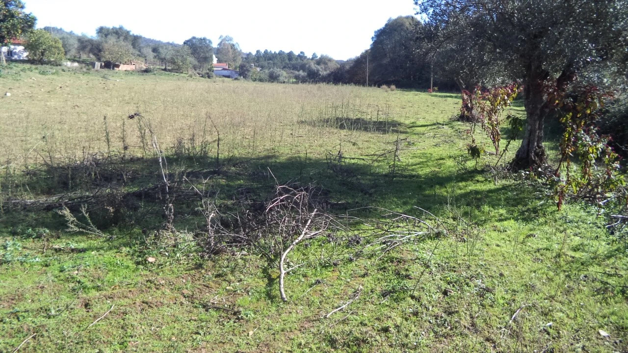 Quinta T4 para Venda em Alegrete Foto 45