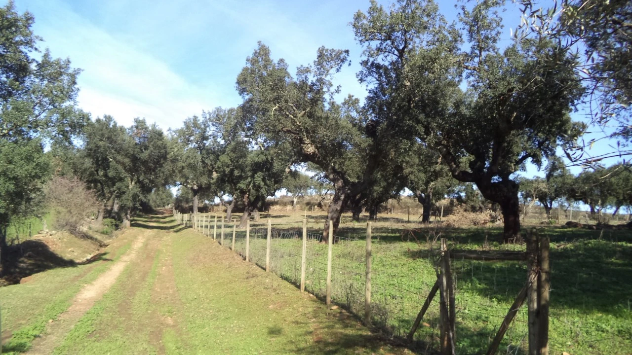 Quinta T4 para Venda em Alegrete Foto 49