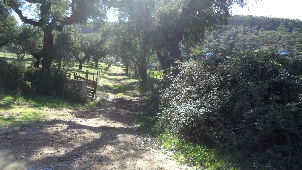 Quinta T4 para Venda em Alegrete Foto 51