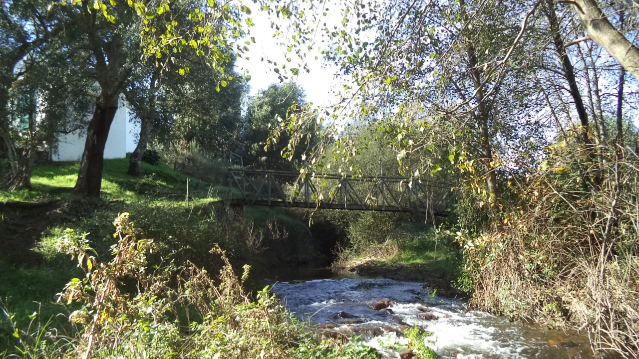 Quinta T4 para Venda em Alegrete Foto 4