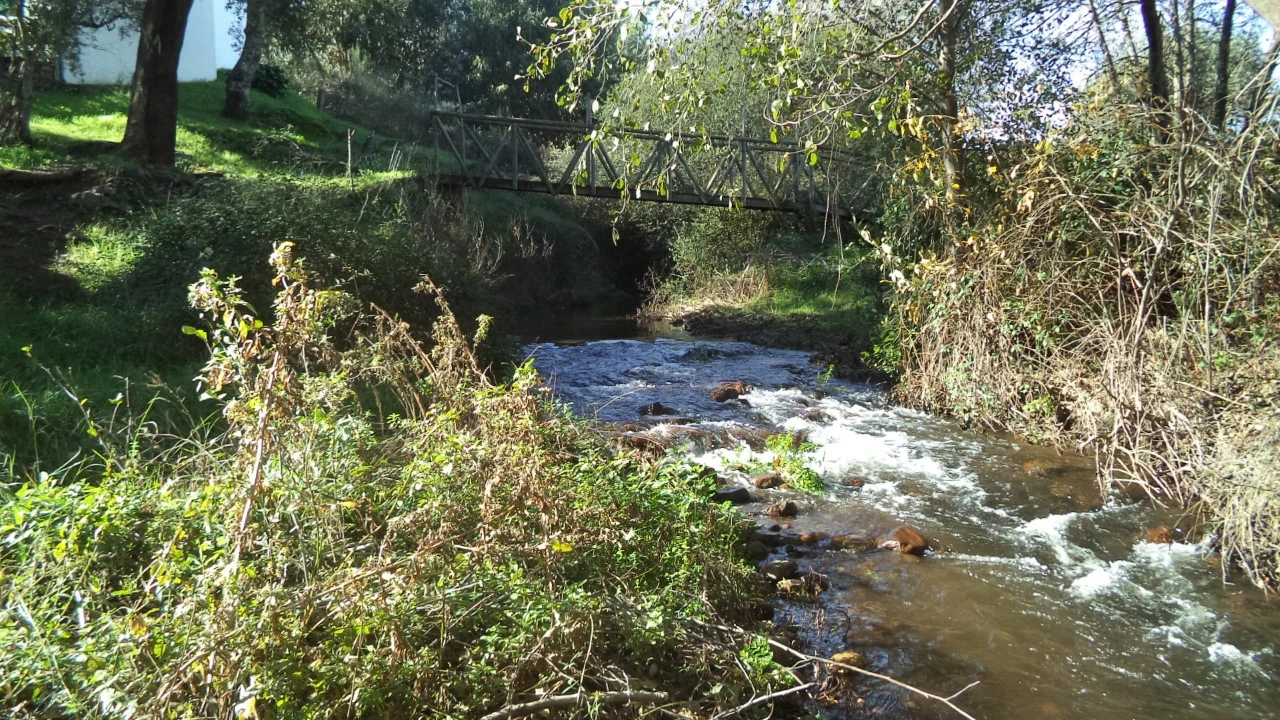 Quinta T4 para Venda em Alegrete Foto 53