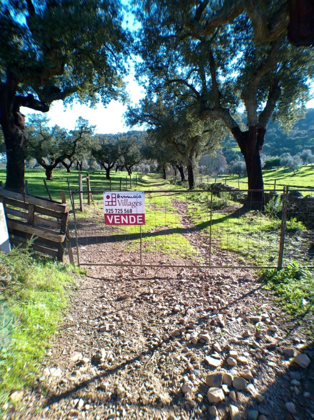 Quinta T4 para Venda em Alegrete Foto 56