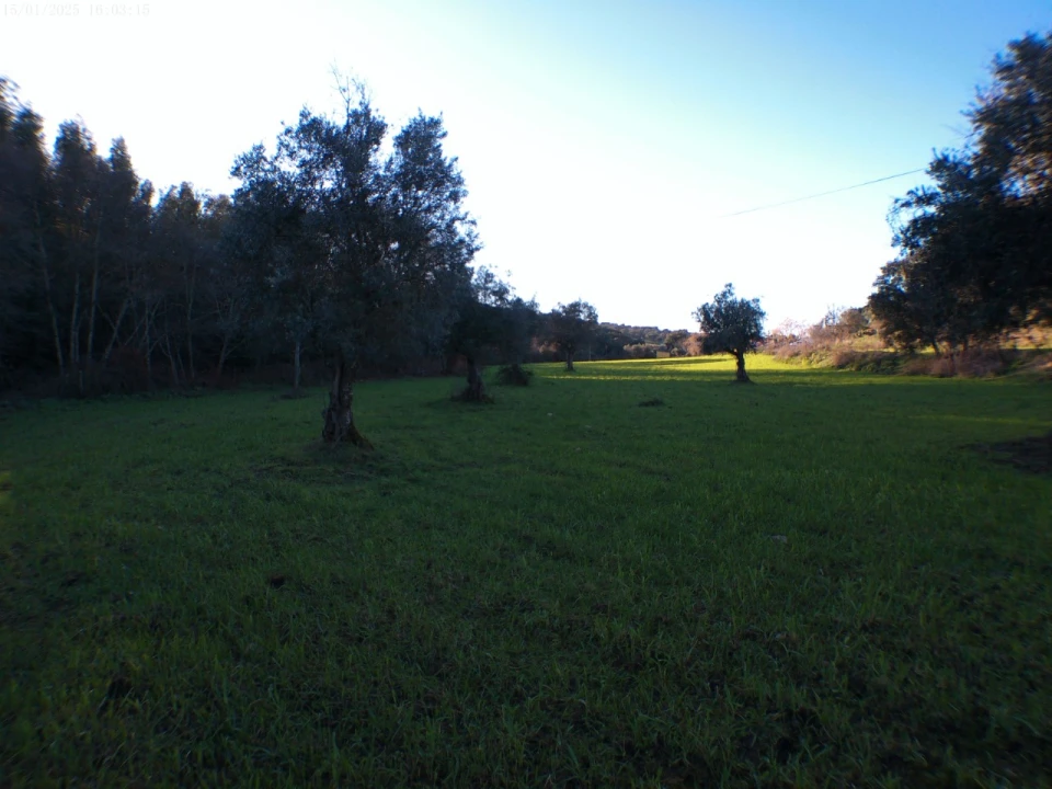 Quinta T4 para Venda em Alegrete Foto 62