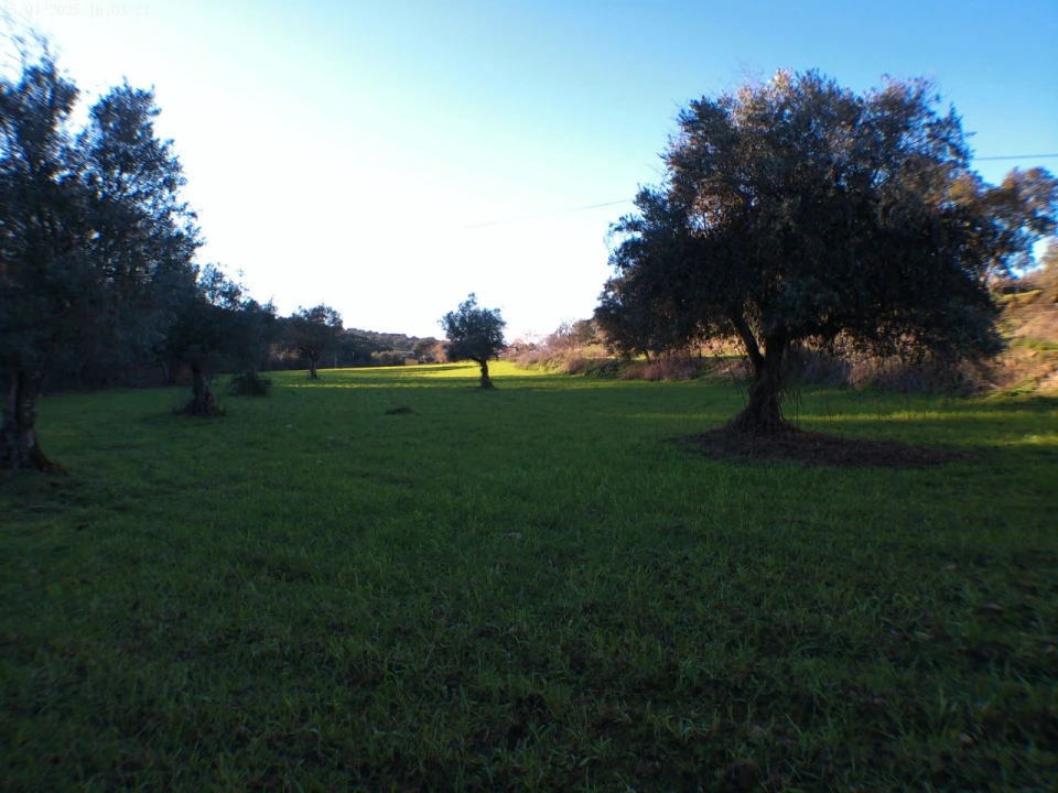 Quinta T4 para Venda em Alegrete Foto 63