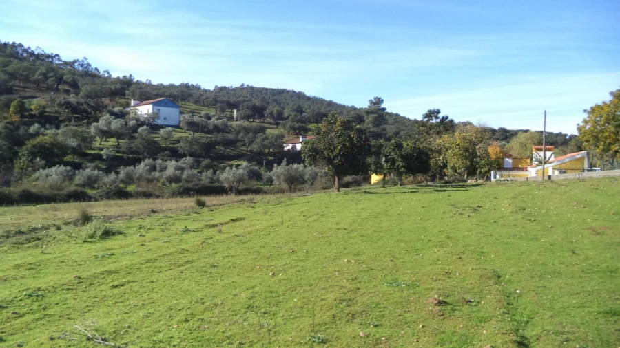 Quinta T4 para Venda em Alegrete Foto 11