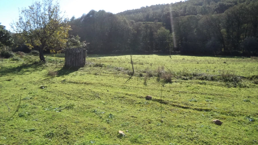 Quinta T4 para Venda em Alegrete Foto 13