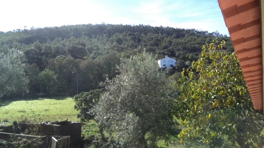 Quinta T4 para Venda em Alegrete Foto 33