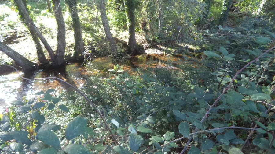 Quinta T4 para Venda em Alegrete Foto 41