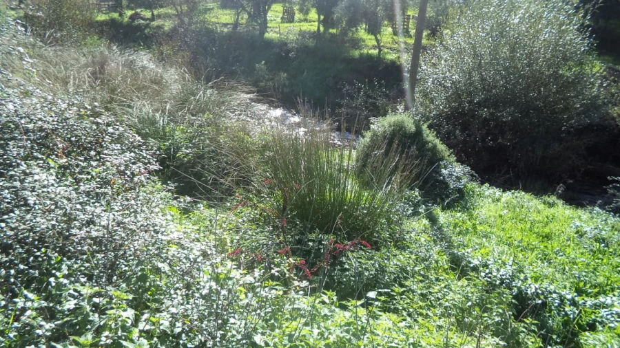 Quinta T4 para Venda em Alegrete Foto 43