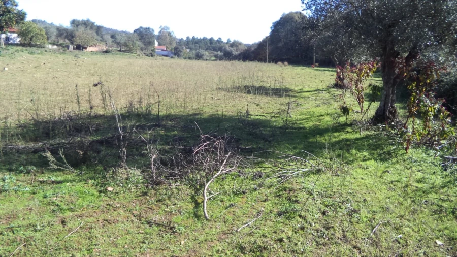 Quinta T4 para Venda em Alegrete Foto 45