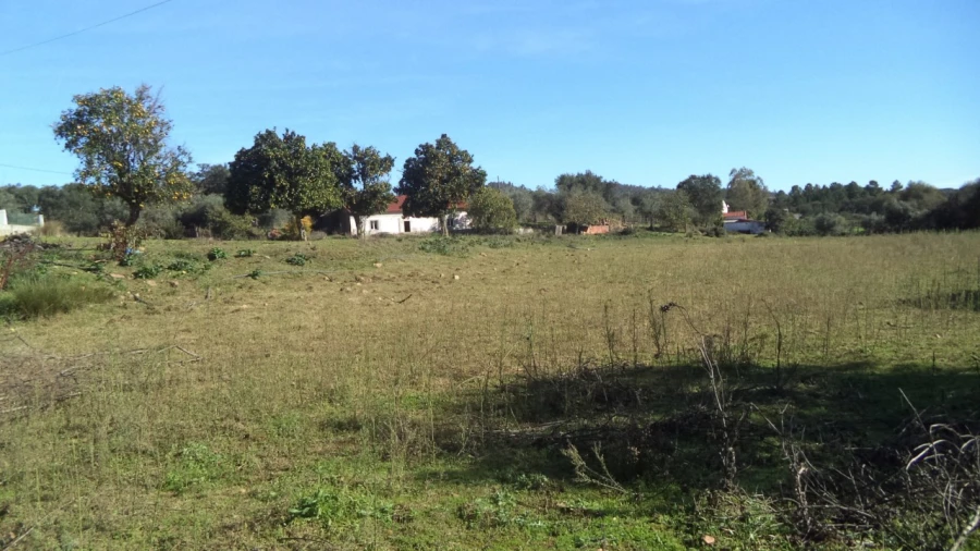 Quinta T4 para Venda em Alegrete Foto 46