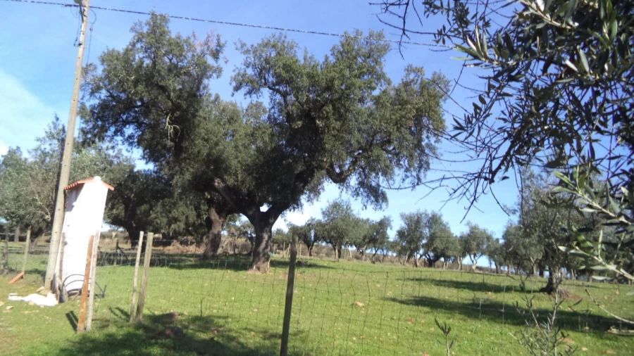 Quinta T4 para Venda em Alegrete Foto 47