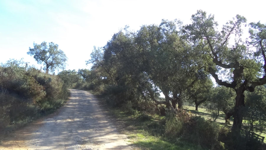 Quinta T4 para Venda em Alegrete Foto 52