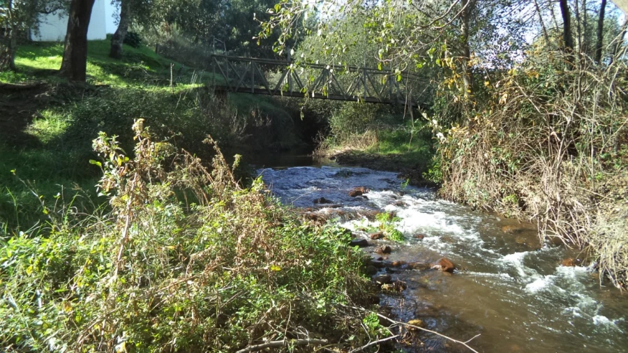 Quinta T4 para Venda em Alegrete Foto 53