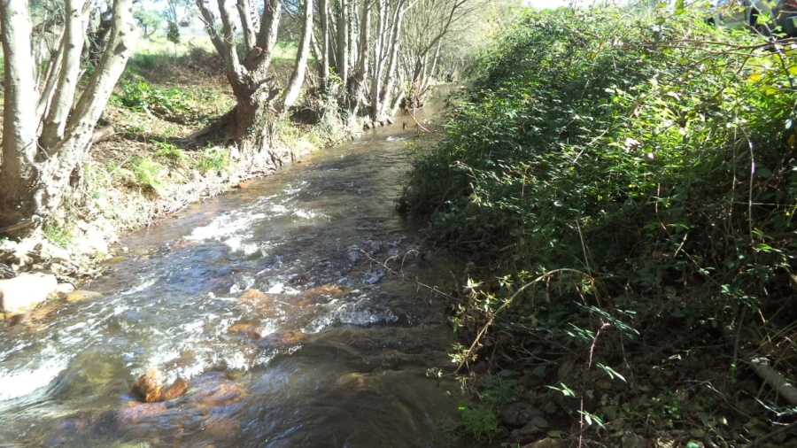 Quinta T4 para Venda em Alegrete Foto 54