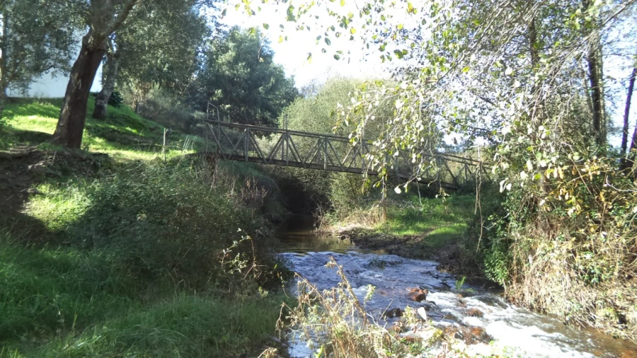 Quinta T4 para Venda em Alegrete Foto 55