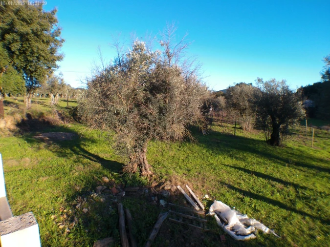 Quinta T4 para Venda em Alegrete Foto 78