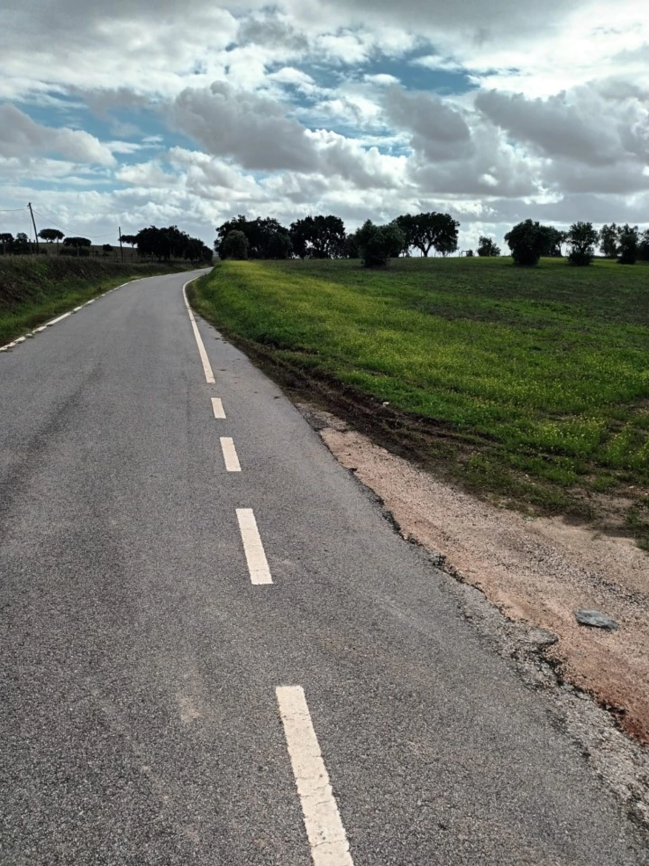 Terreno para Venda em Assunção Foto 4