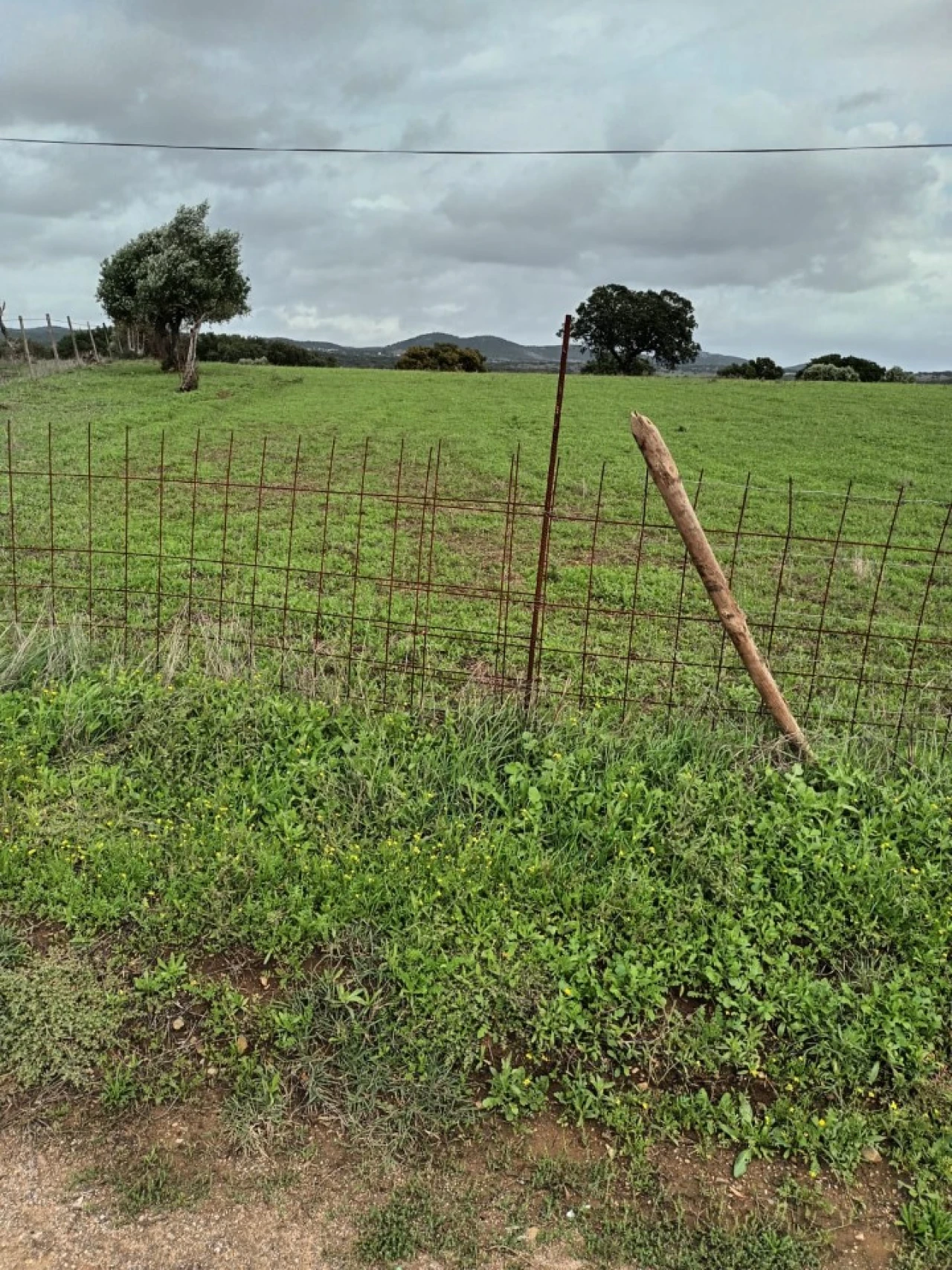 Terreno para Venda em Assunção Foto 5