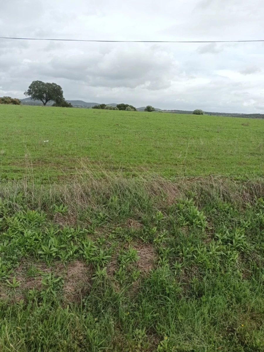 Terreno para Venda em Assunção Foto 1
