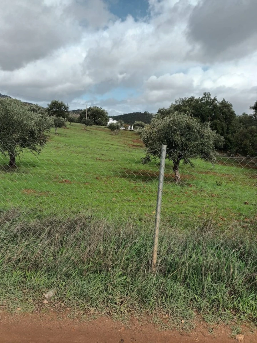 Terreno para Venda em Assunção Foto 8